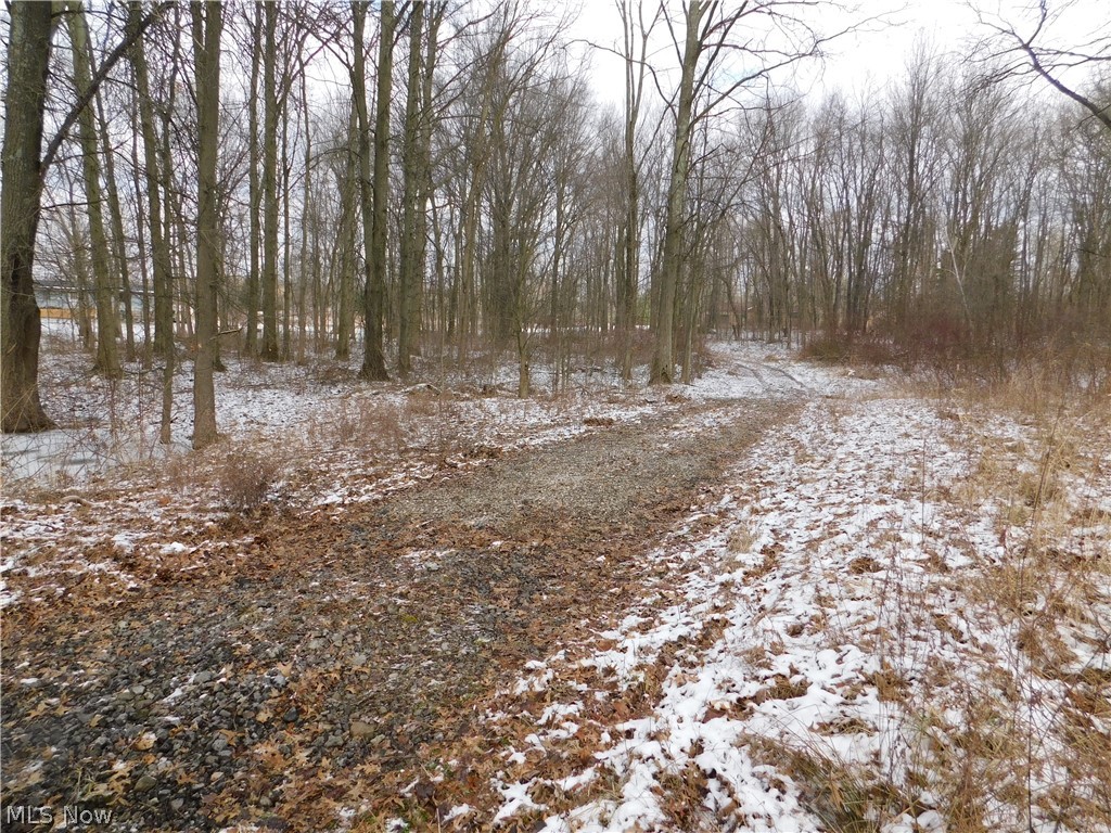 10008 Cable Line Road Newton Falls, OH 44444 - Photo 7 of 31