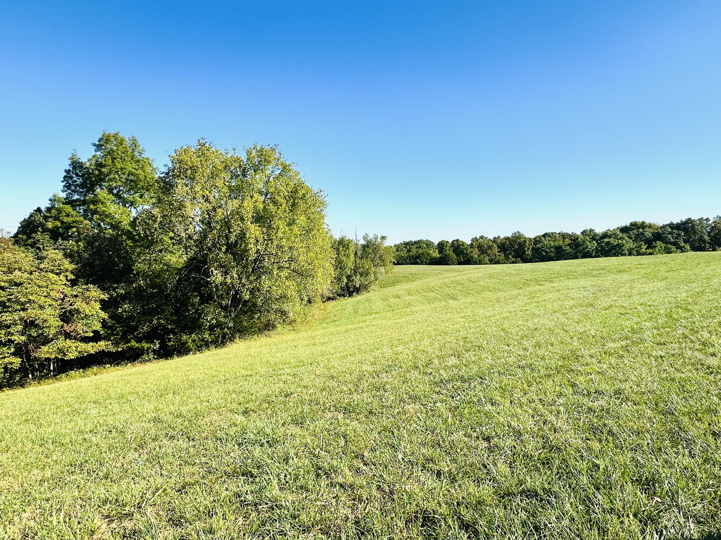 203 Chaplin Road Willisburg, KY 40078 - Photo 43 of 77 IMG_8157