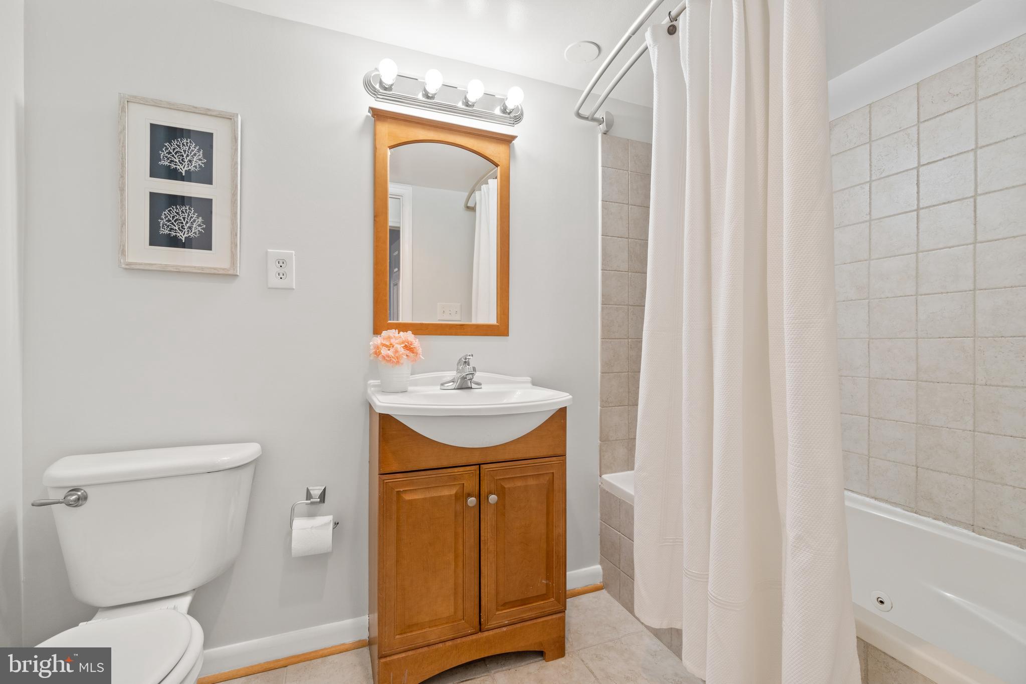 11232 Chestnut Grove Square, Unit 11232233 Reston, VA 20190 - Photo 18 of 20 Full hall bathroom