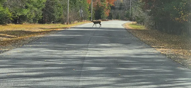 $142,500 | 257 Hadley Road, Stony Creek, NY 12878