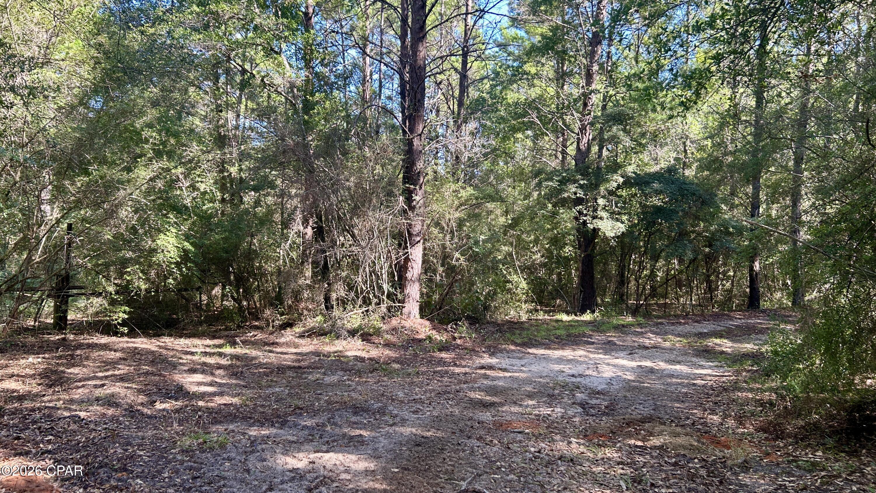 B Trawick Creek Road Holt, FL 32564 - Photo 13 of 27 Gallery Image 13