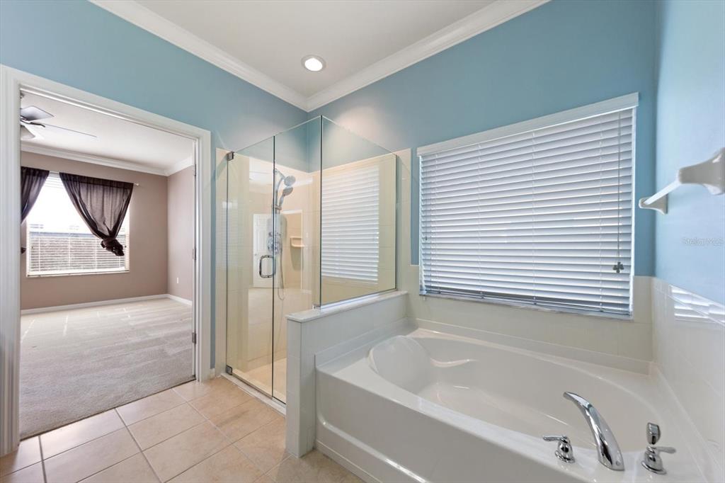 2302 Barracuda Court Holiday, FL 34691 - Photo 17 of 43