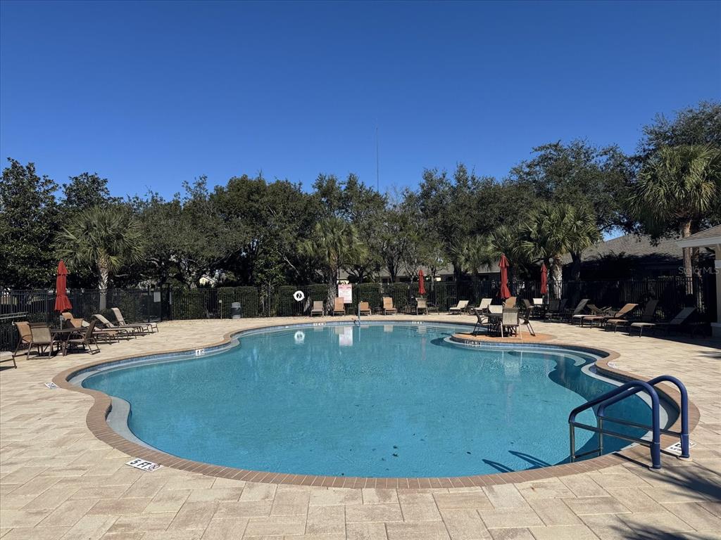 2302 Barracuda Court Holiday, FL 34691 - Photo 32 of 43