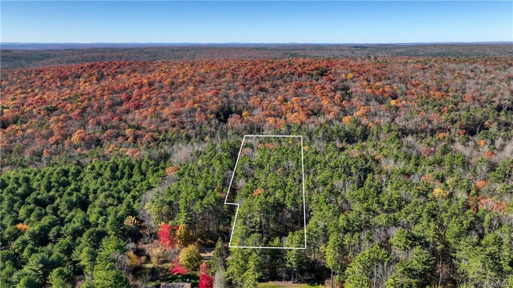 39 Kindrachuk Road Glen Spey, NY 12737 - Photo 1 of 8 an aerial view of multiple house