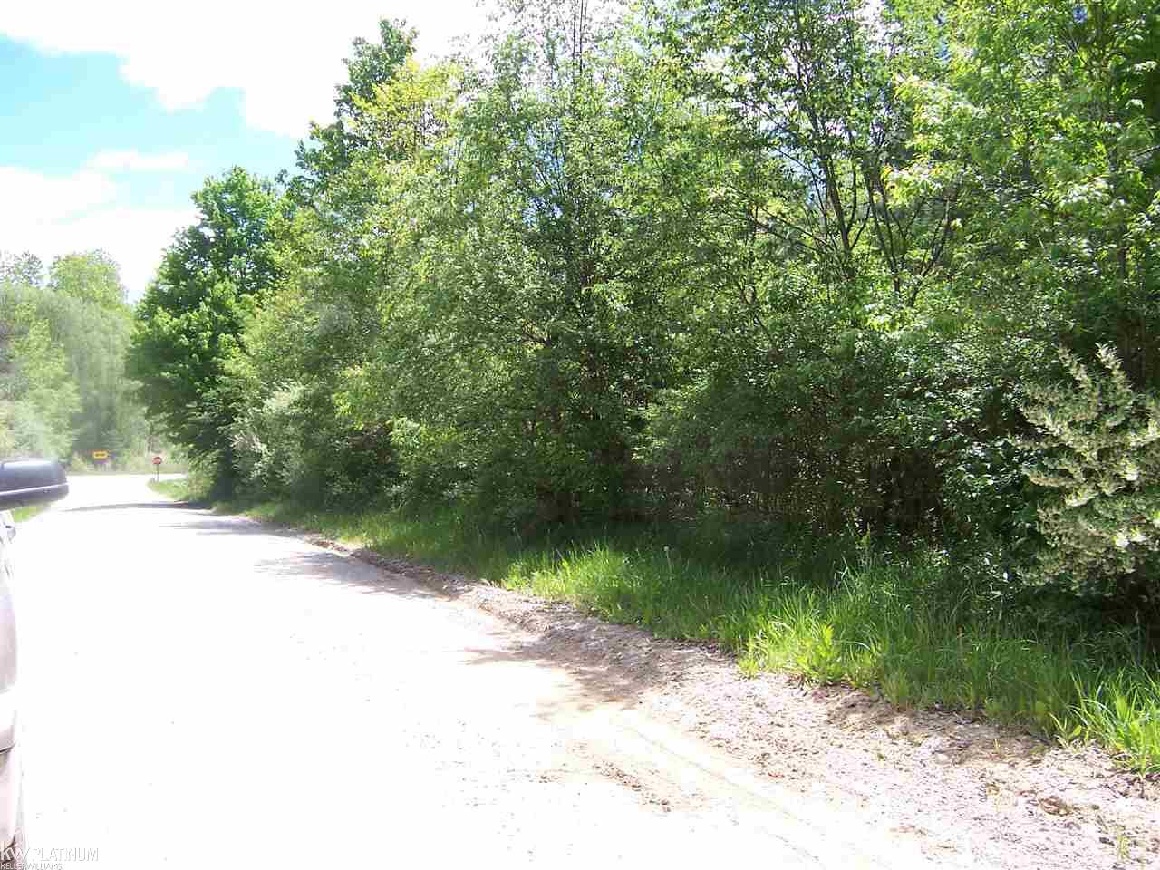 Lot D Lot D Lashbrook Road Goodells, MI 48027 - Photo 1 of 2