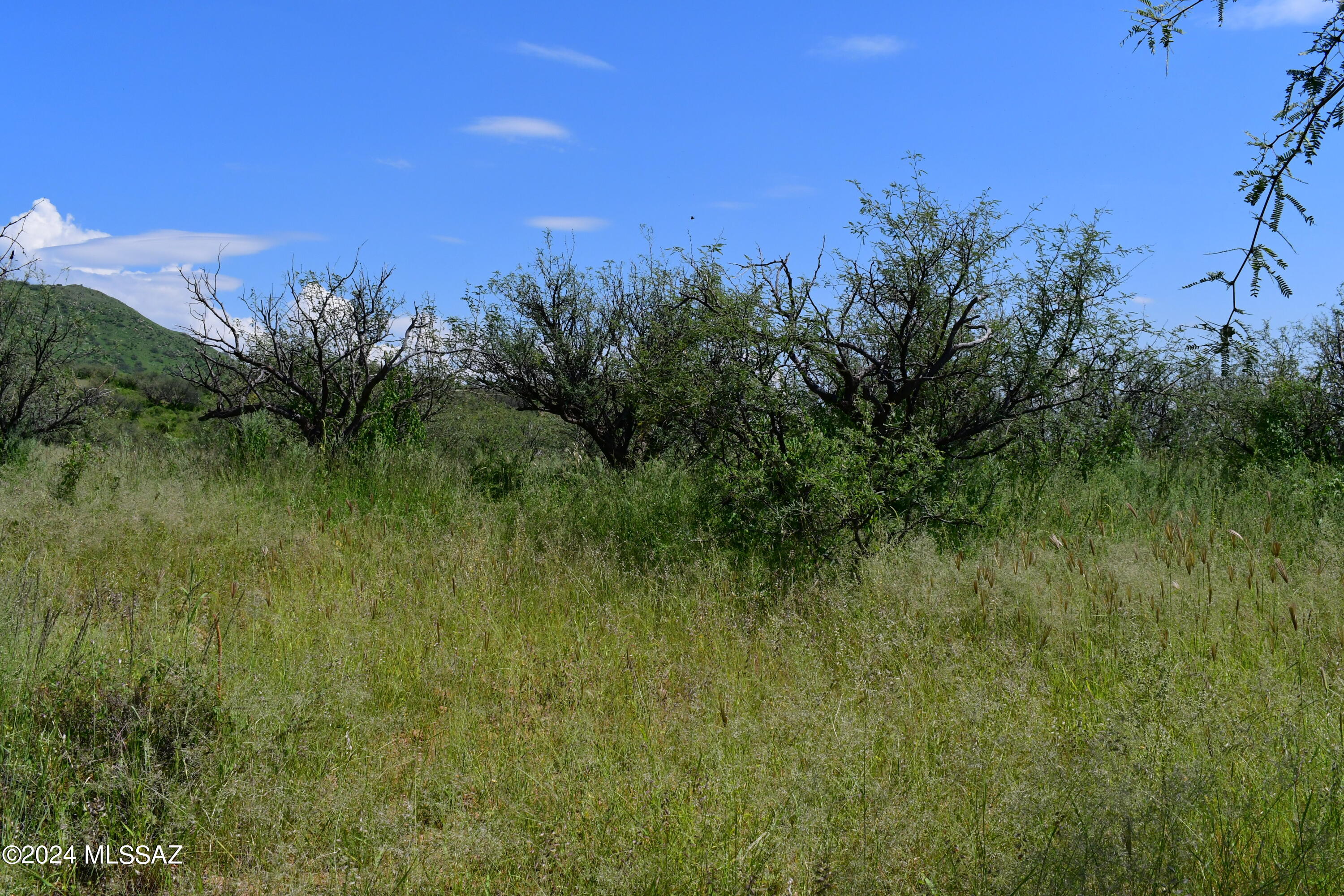 Tbd Tbd Mesquite Trail, Unit 132 Rio Rico, AZ 85648 - Photo 18 of 23