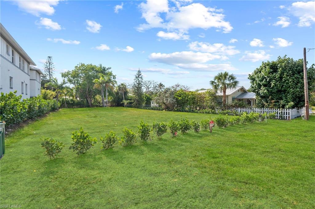1972 Frederick Street Naples, FL 34112 - Photo 3 of 14 a view of a green field with plants in the background