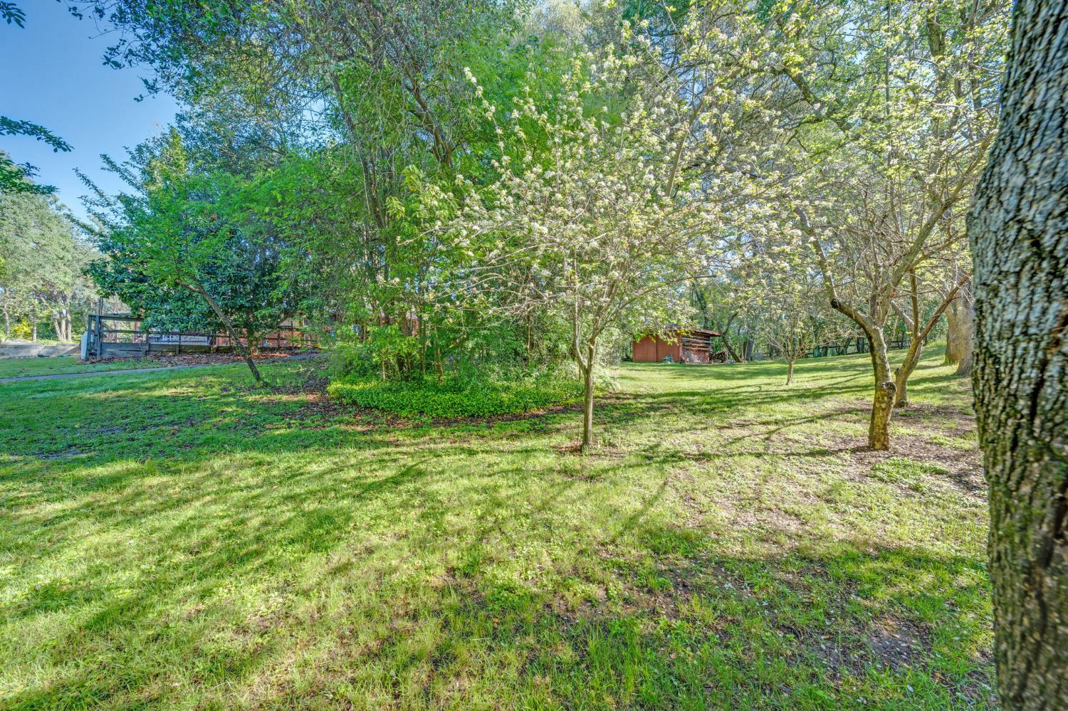 5475 Laird Road Loomis, CA 95650 - Photo 73 of 95