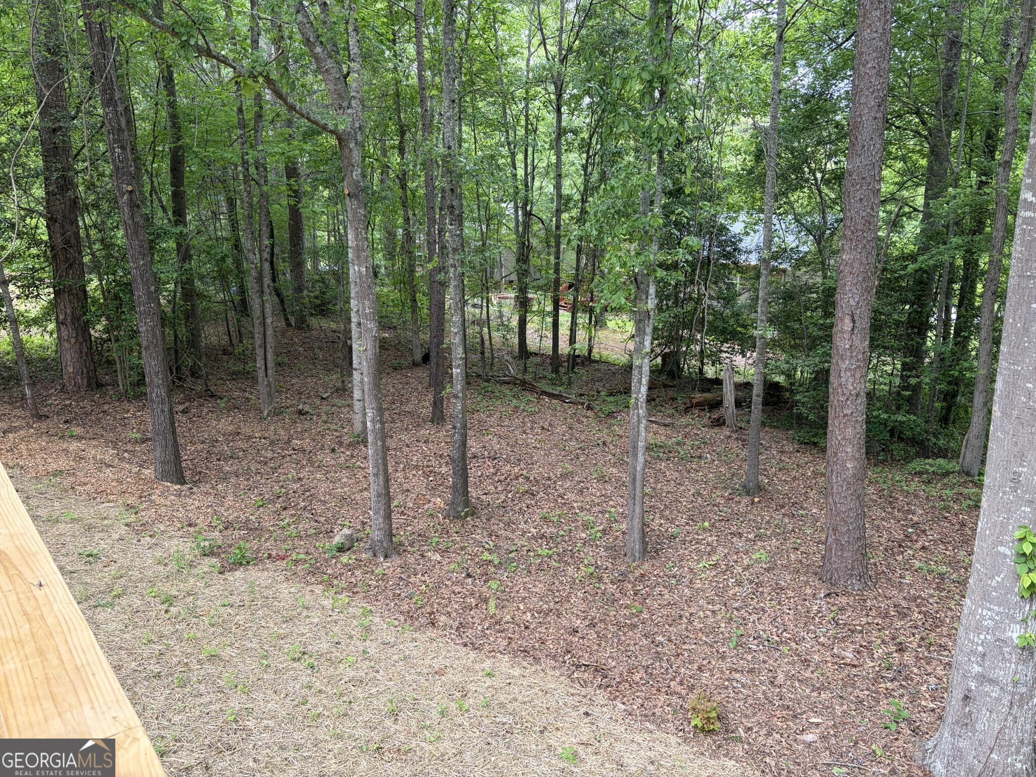 115 Richard Street Clarkesville, GA 30523 - Photo 35 of 36