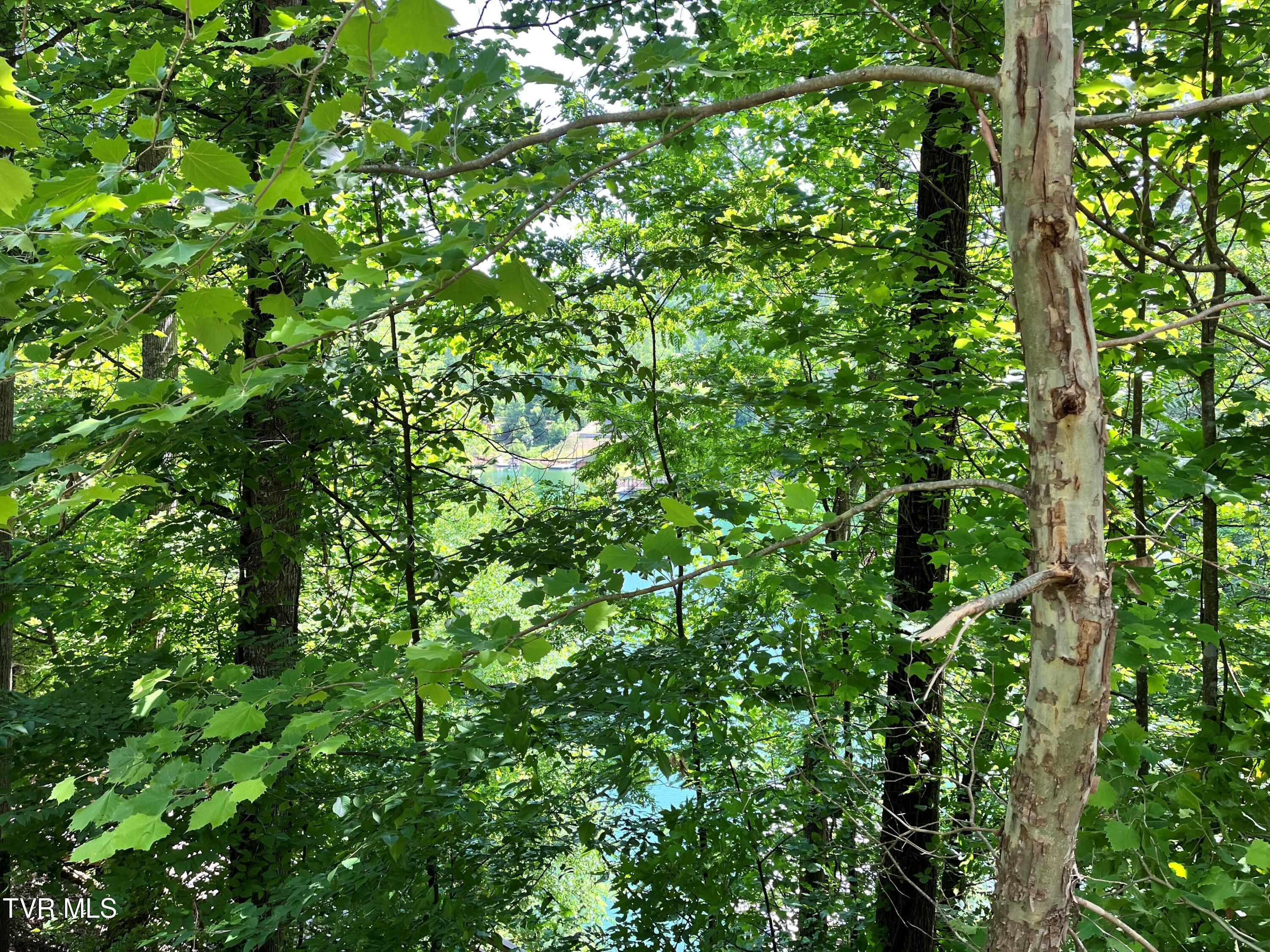 Tr1 Smith Hollow Road, Unit 1 3 3A 4 Butler, TN 37640 - Photo 21 of 37 jh19