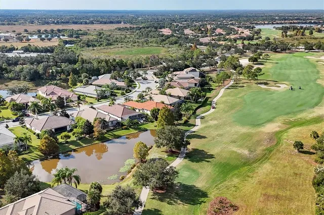 a view of a swimming pool with potted plants and palm trees