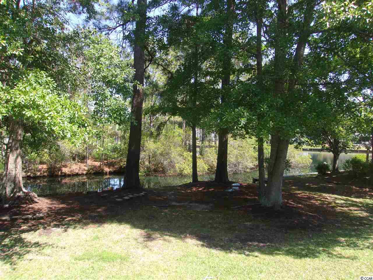 283 Catawba River Road Myrtle Beach, SC 29588 - Photo 19 of 19 Gallery Image 19