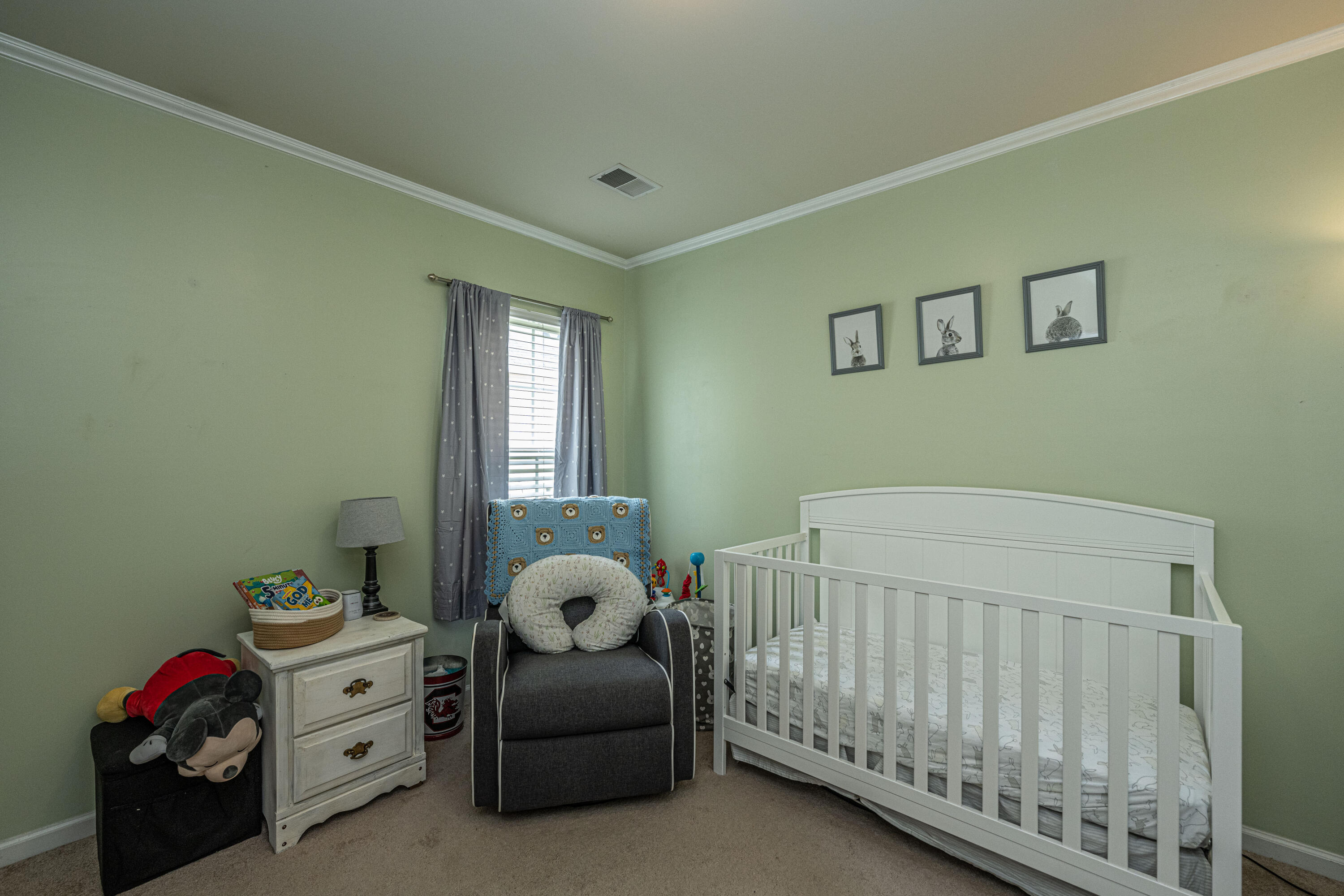224 Myrtle Way Summerville, SC 29483 - Photo 25 of 35 3rd Bedroom