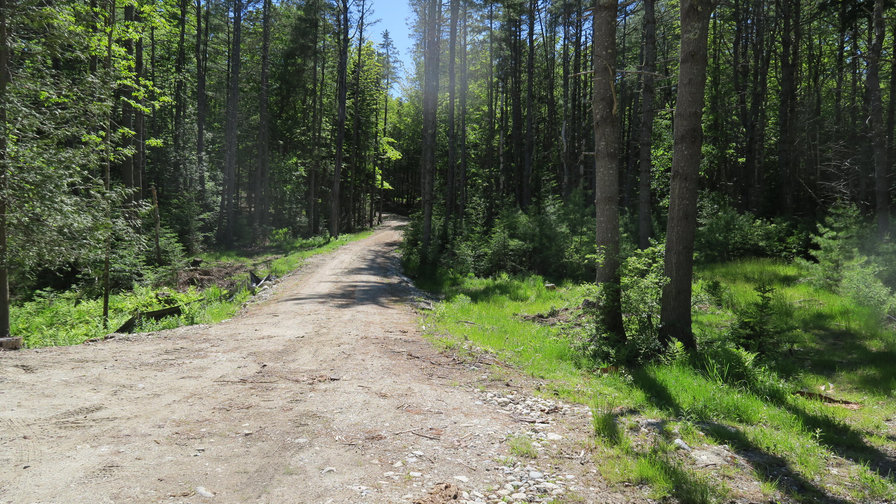 91 Parker Point Road Blue Hill, ME 04614 - Photo 6 of 10 Driveway