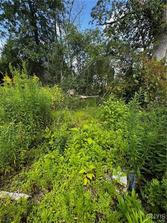 6393 Fremont Road Manlius, NY 13057 - Photo 2 of 9