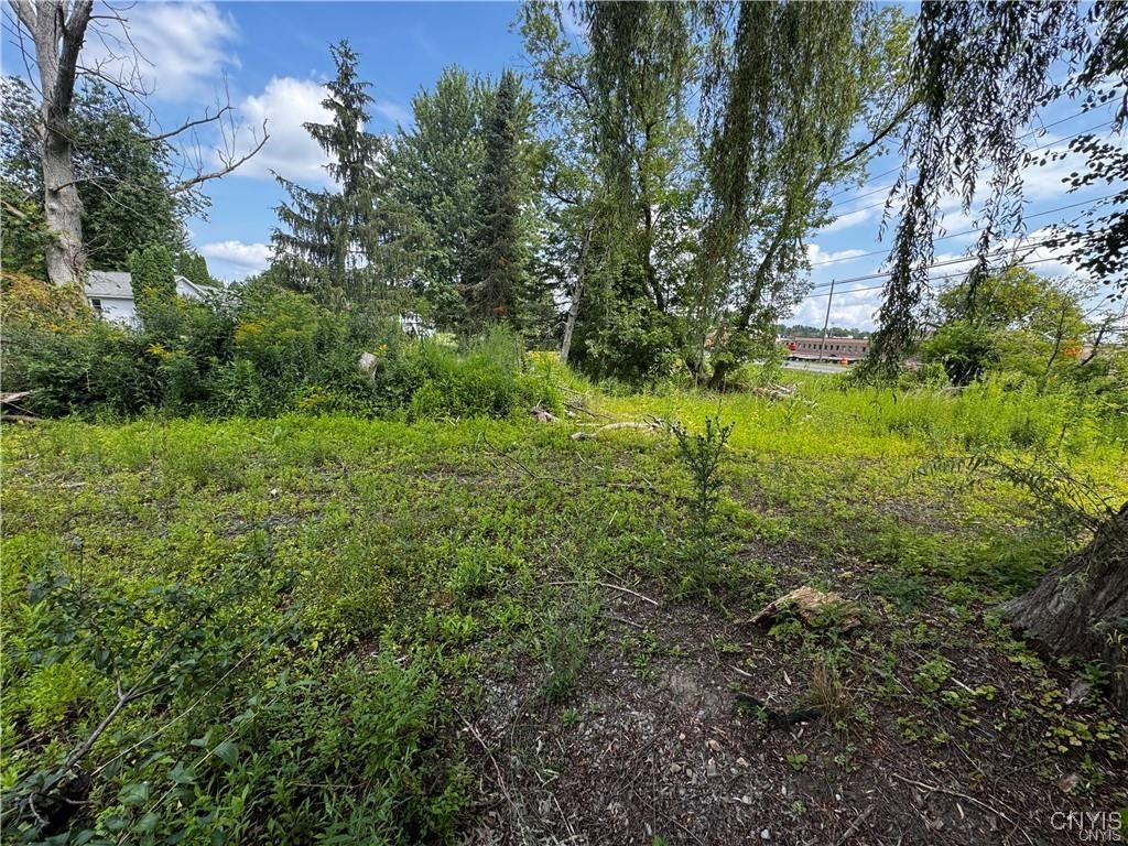 6393 Fremont Road Manlius, NY 13057 - Photo 3 of 9