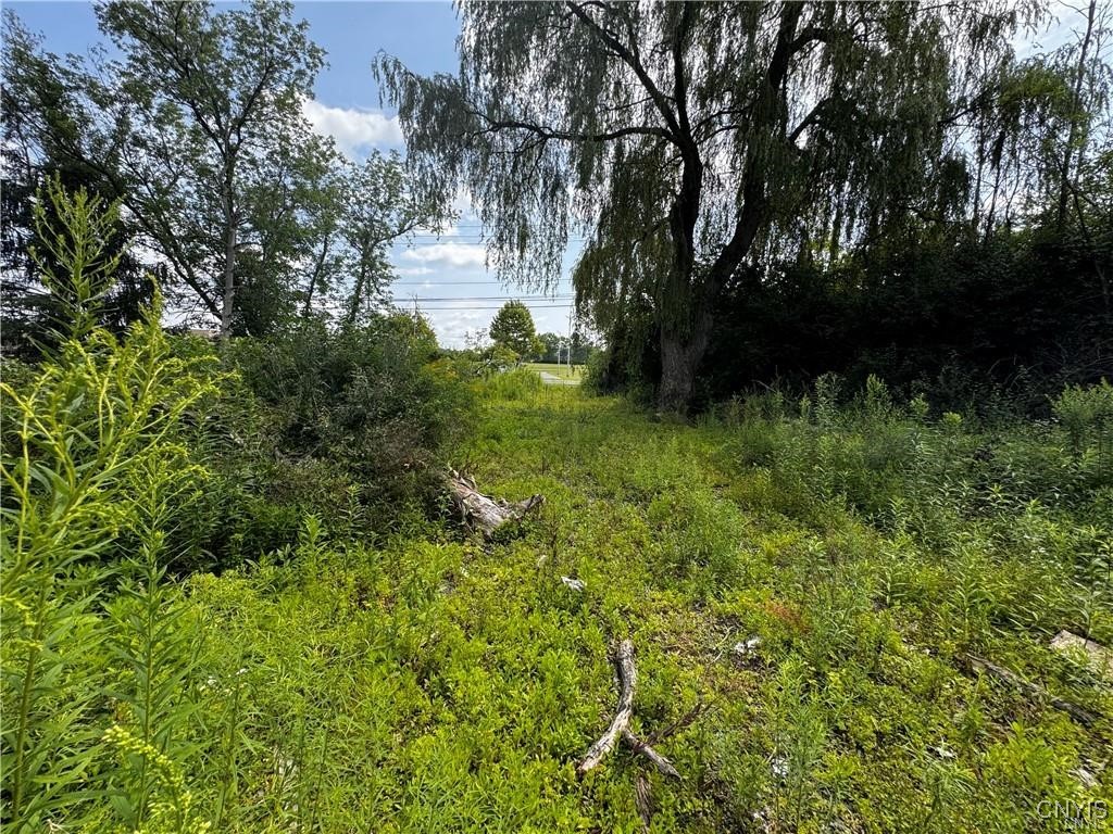 6393 Fremont Road Manlius, NY 13057 - Photo 4 of 9 Back of Lot