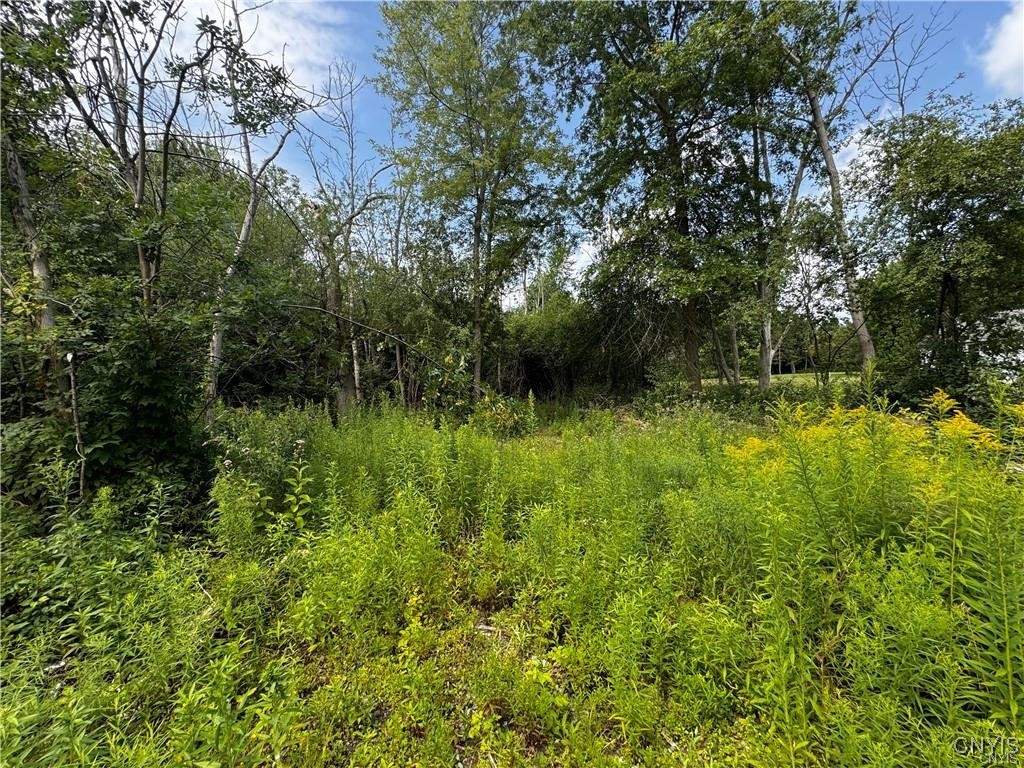 6393 Fremont Road Manlius, NY 13057 - Photo 5 of 9