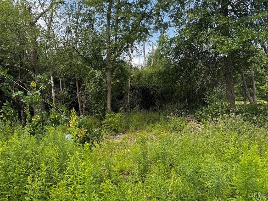 6393 Fremont Road Manlius, NY 13057 - Photo 6 of 9