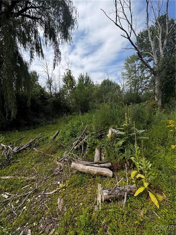 6393 Fremont Road Manlius, NY 13057 - Photo 8 of 9