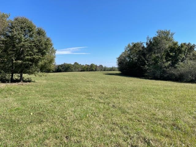 Lagrange Road Somerville, TN 38068 - Photo 11 of 22 a view of yard with swimming pool and trees