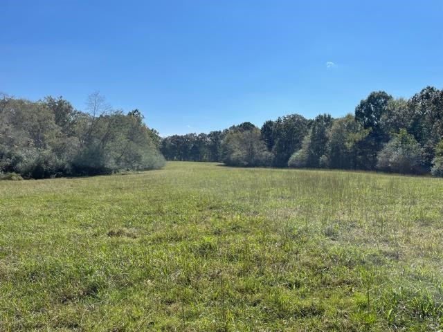 Lagrange Road Somerville, TN 38068 - Photo 12 of 22 a view of a field with an ocean view