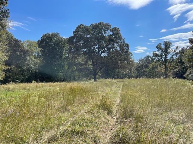 Lagrange Road Somerville, TN 38068 - Photo 13 of 22 a view of yard with large trees
