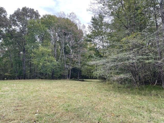 Lagrange Road Somerville, TN 38068 - Photo 14 of 22 a view of a yard