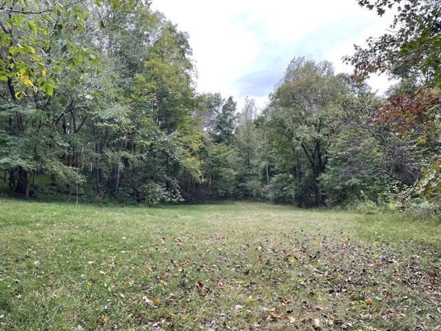 Lagrange Road Somerville, TN 38068 - Photo 16 of 22 a view of a green field with trees in the background