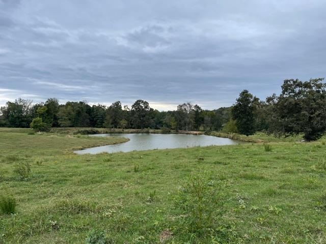 Lagrange Road Somerville, TN 38068 - Photo 18 of 22 a view of lake with green field