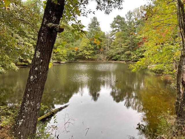 Lagrange Road Somerville, TN 38068 - Photo 20 of 22 a view of lake