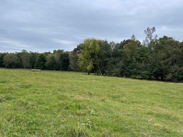 Lagrange Road Somerville, TN 38068 - Photo 21 of 22 a view of a field with an trees in the background