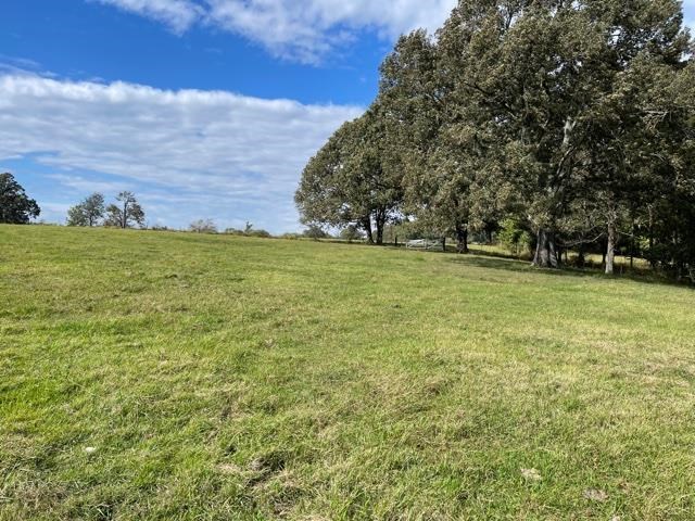 Lagrange Road Somerville, TN 38068 - Photo 3 of 22 a view of a field with an trees