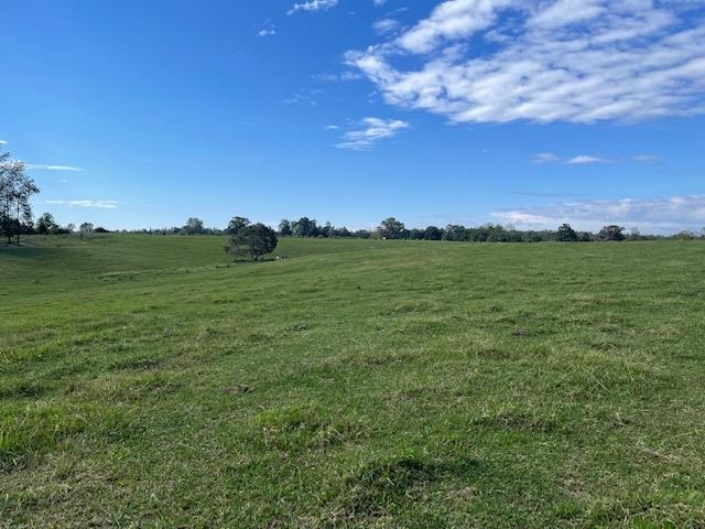 Lagrange Road Somerville, TN 38068 - Photo 6 of 22 a view of a big yard with a large tree