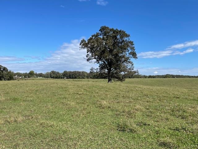 Lagrange Road Somerville, TN 38068 - Photo 7 of 22 a view of a lake from a yard
