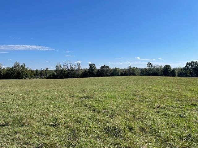 Lagrange Road Somerville, TN 38068 - Photo 8 of 22 a view of a lake with houses in the back