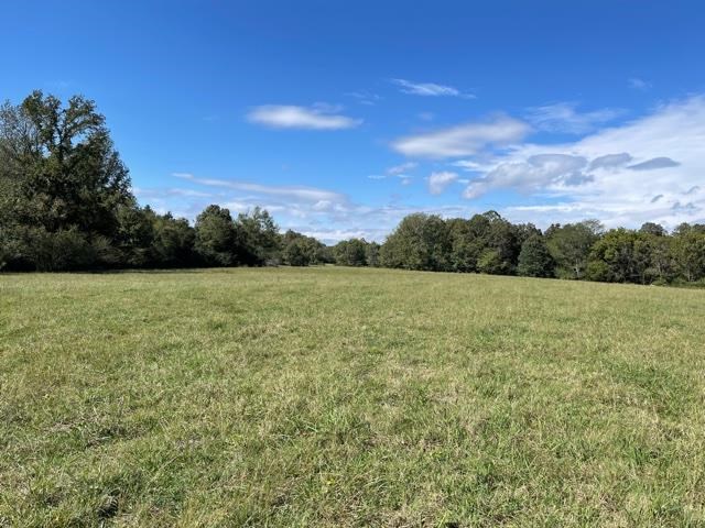 Lagrange Road Somerville, TN 38068 - Photo 9 of 22 a view of a field with an ocean