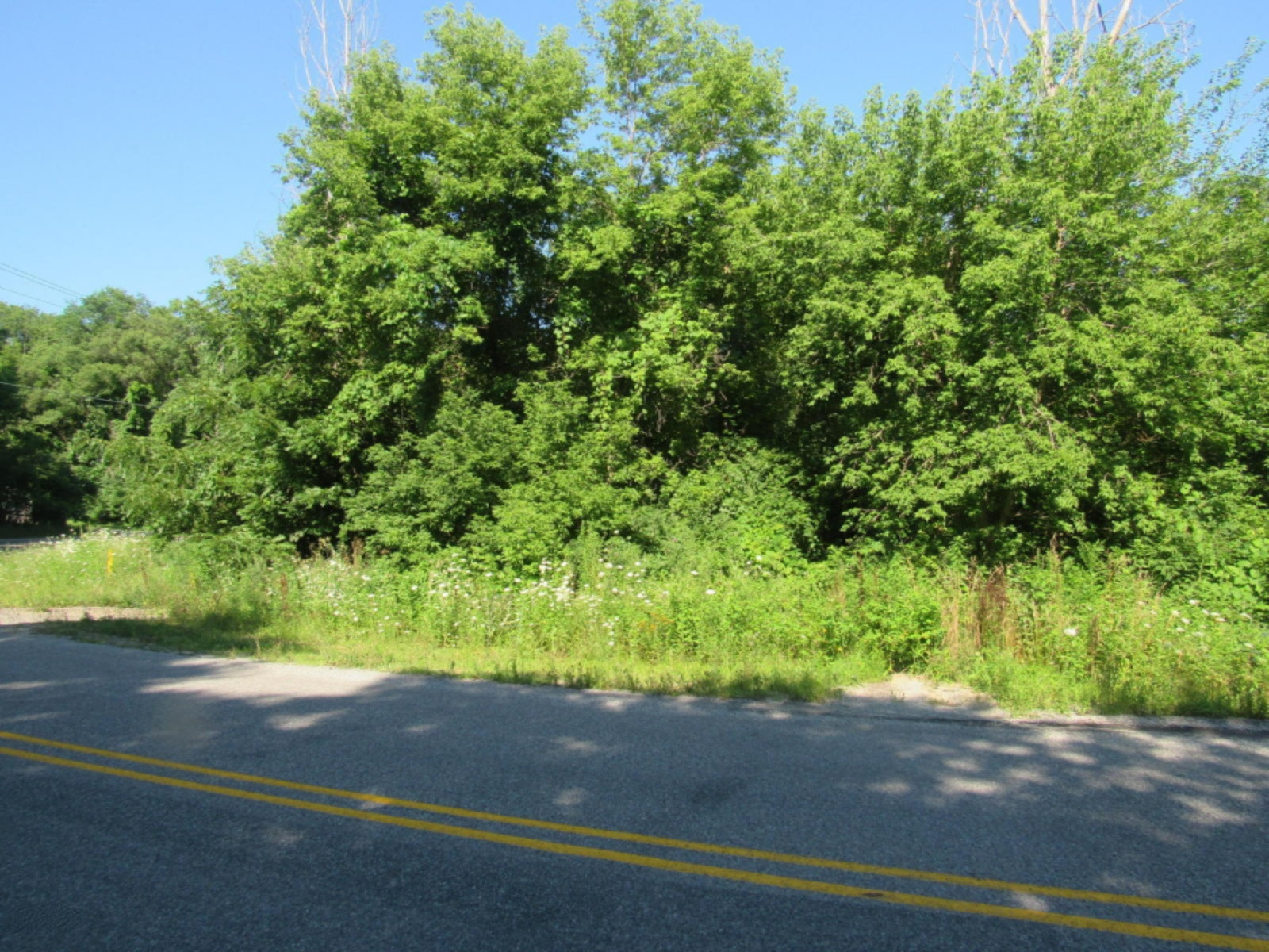 0 Smith Road Berrien Center, MI 49102 - Photo 1 of 1 0 Smith Road