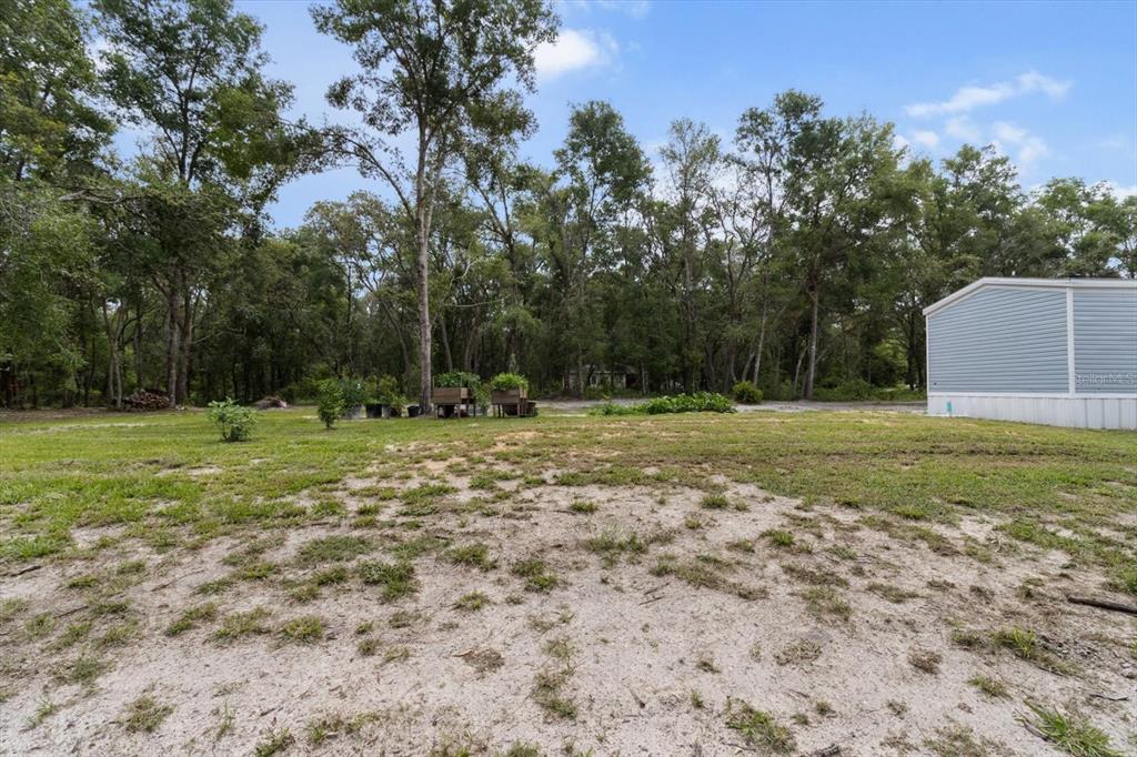 4686 C R 656 Webster, FL 33597 - Photo 26 of 32 a backyard of a house with lots of green space