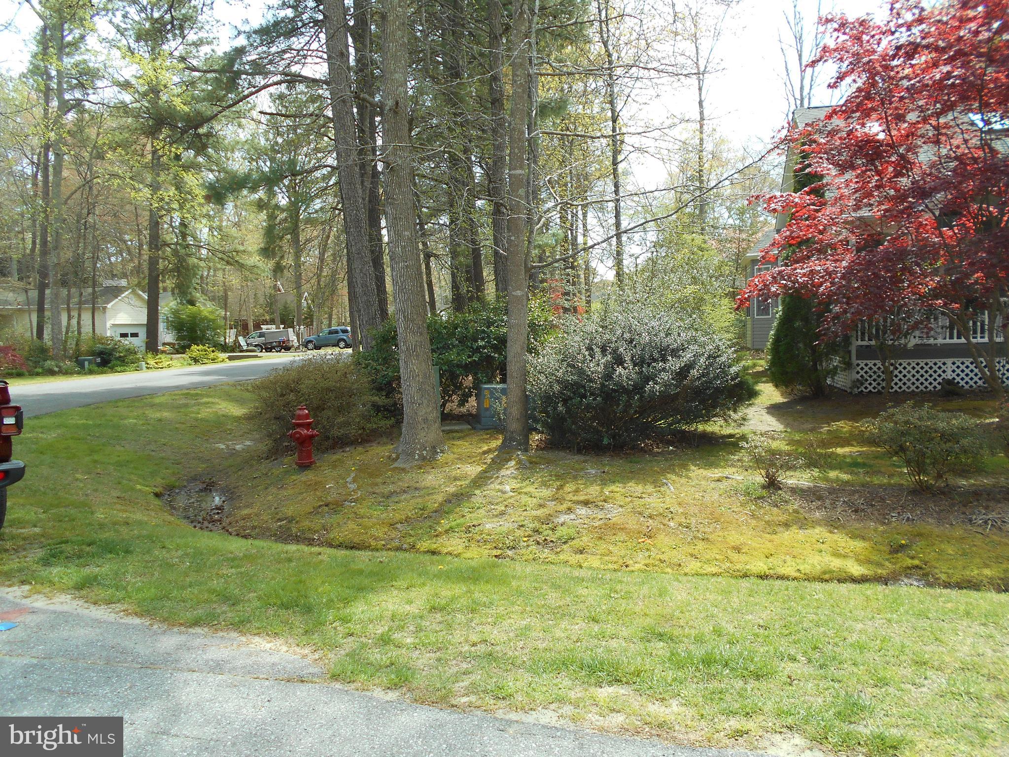 34 Gloucester Road Berlin, MD 21811 - Photo 6 of 7 Gallery Image 6