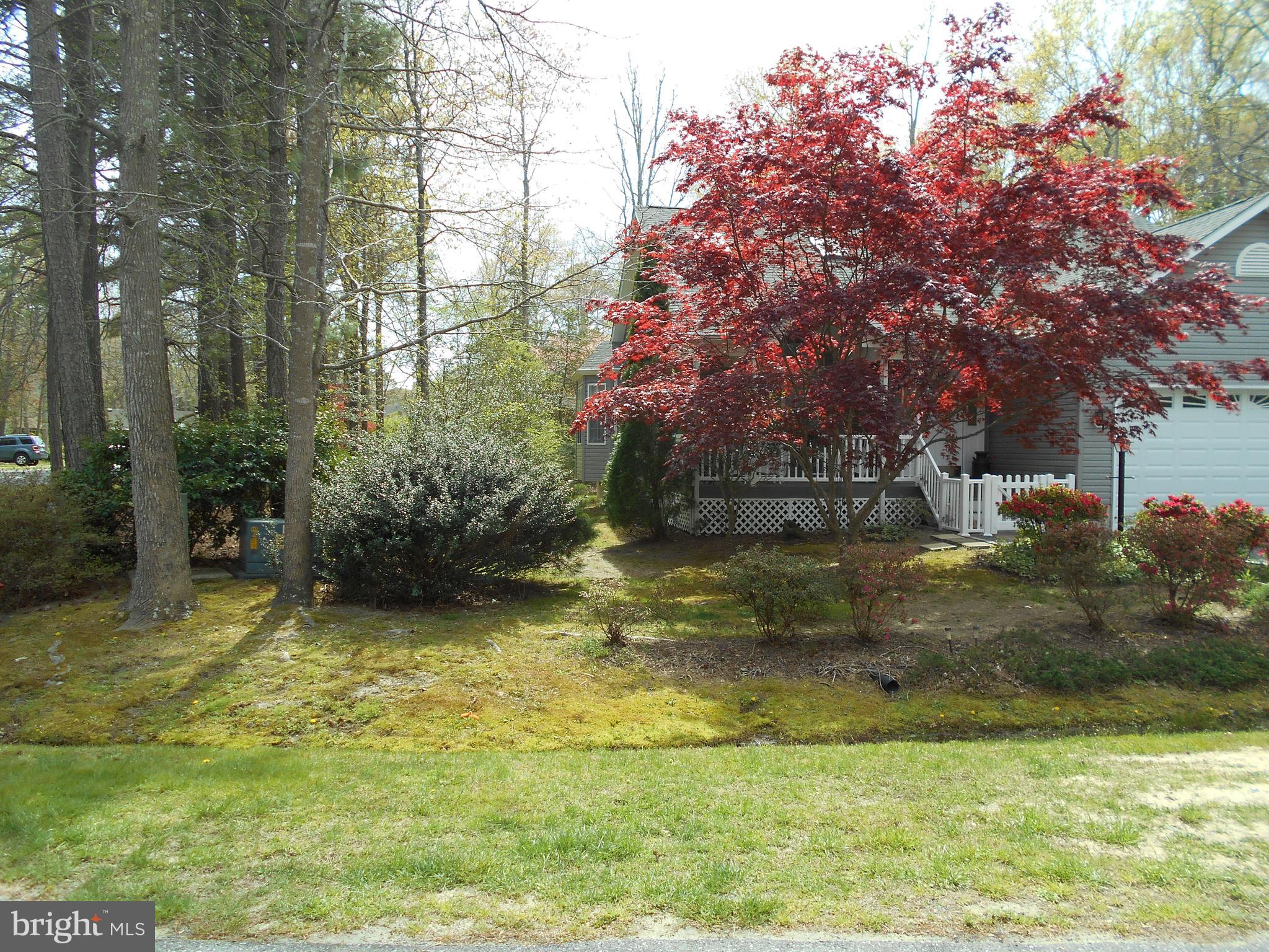 34 Gloucester Road Berlin, MD 21811 - Photo 7 of 7 Gallery Image 7