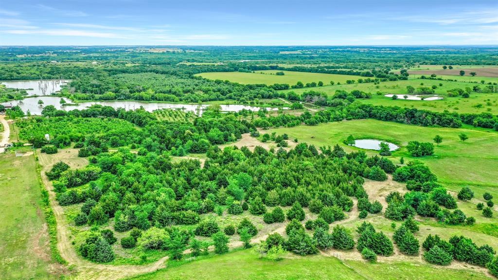 Tbd Airport Road Tioga, TX 76271 - Photo 15 of 28