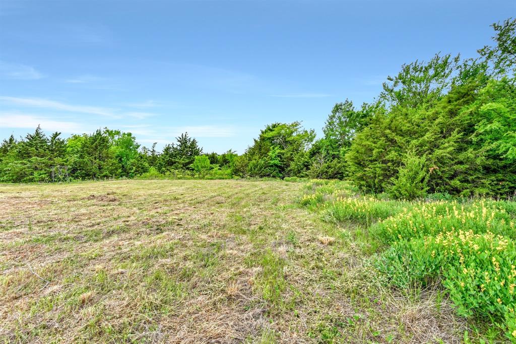 Tbd Airport Road Tioga, TX 76271 - Photo 26 of 28