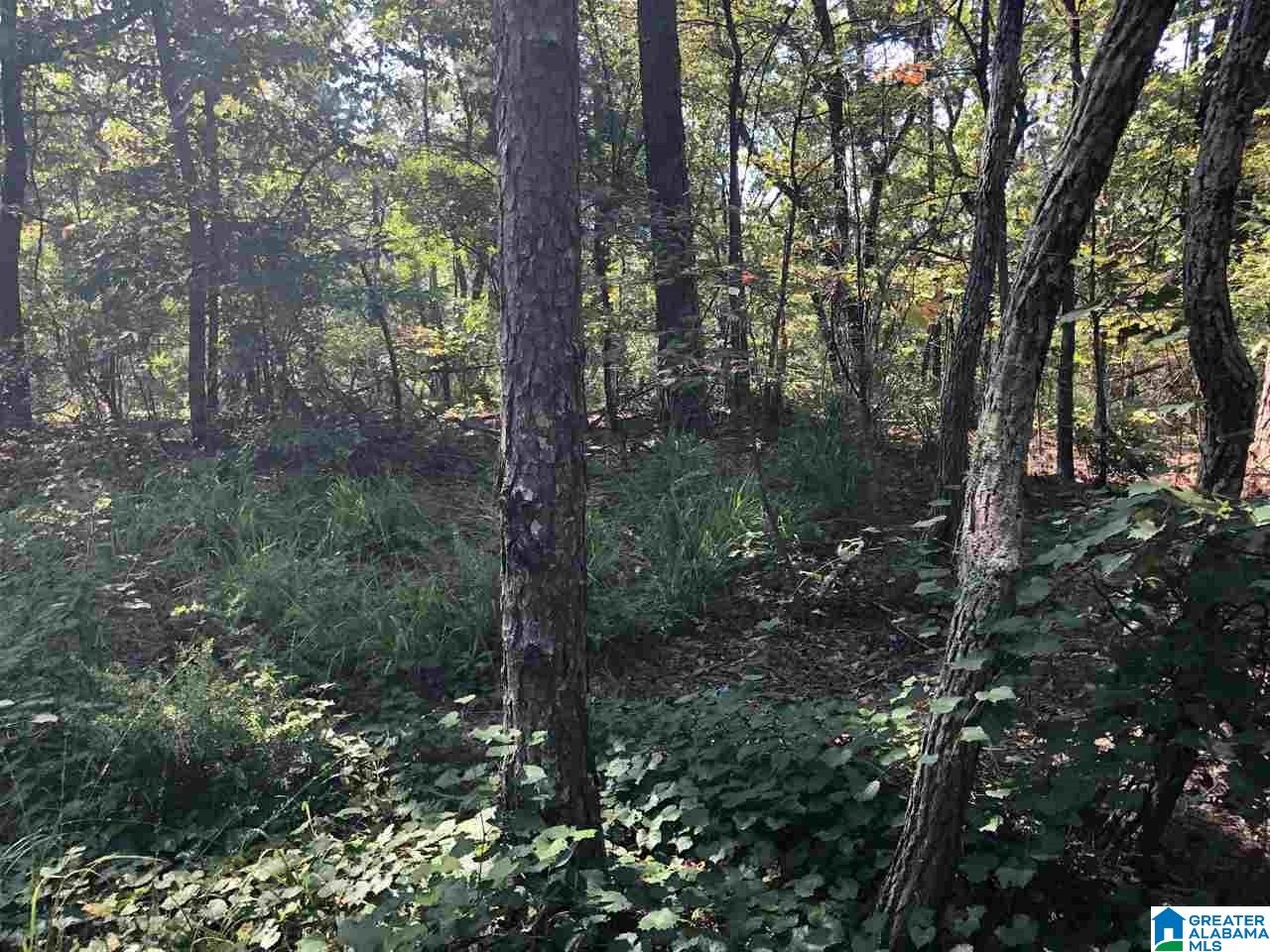 200-acres High Road, Unit 200 ACRES Pell City, AL 35128 - Photo 12 of 17