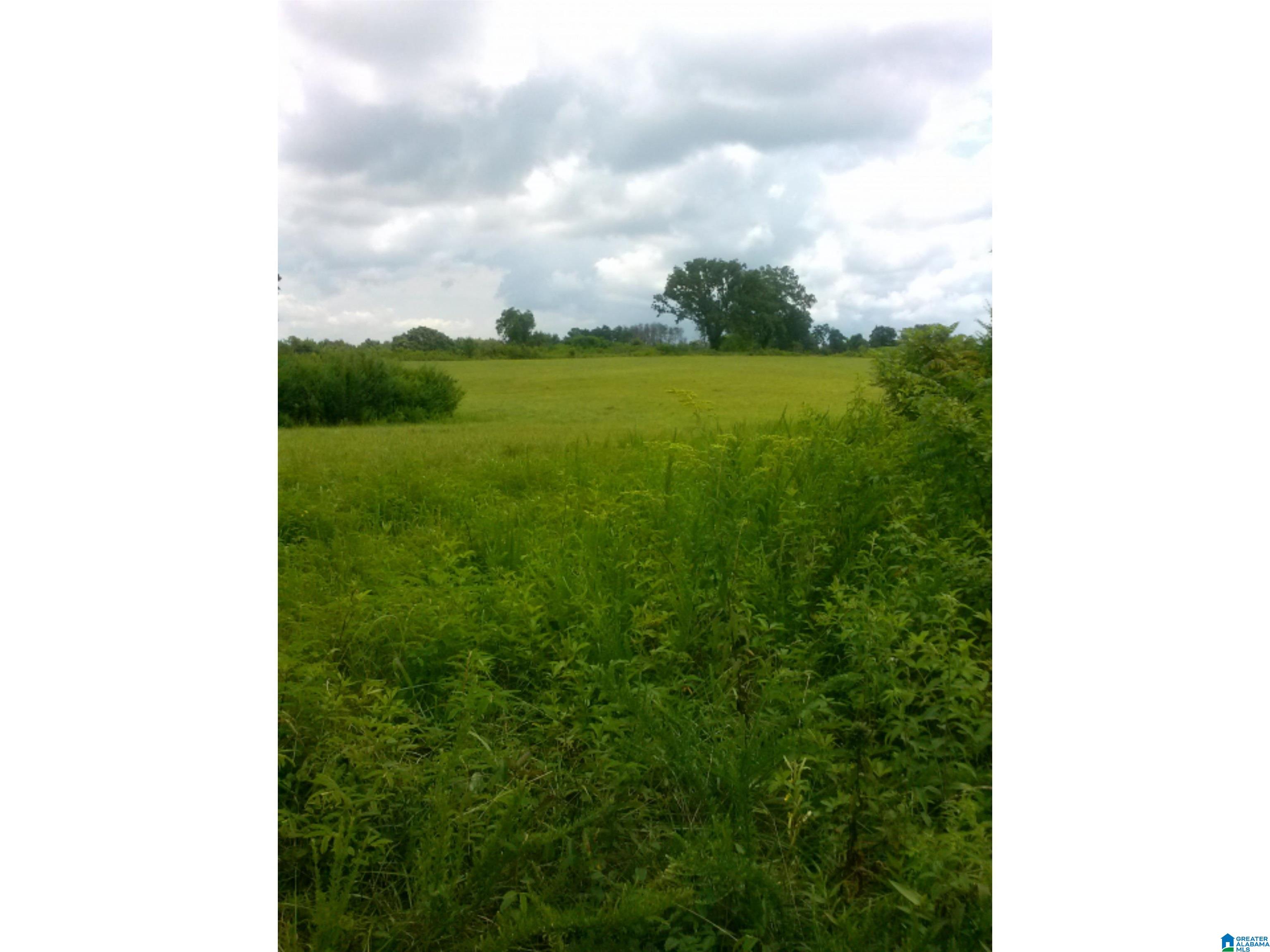 0 County Road 141, Unit 1 Ider, AL 35981 - Photo 10 of 29
