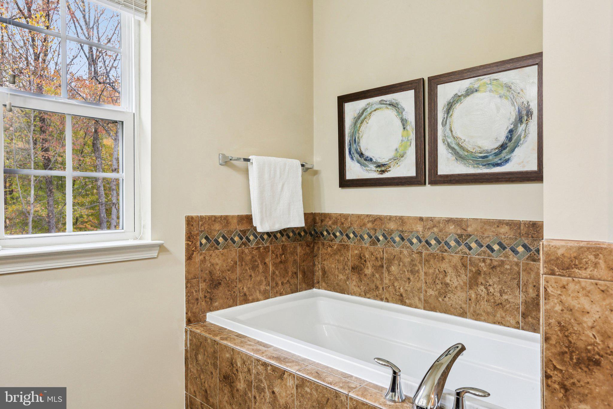 9384 Rock Ripple Lane Laurel, MD 20723 - Photo 23 of 42 a bath tub sitting next to a window