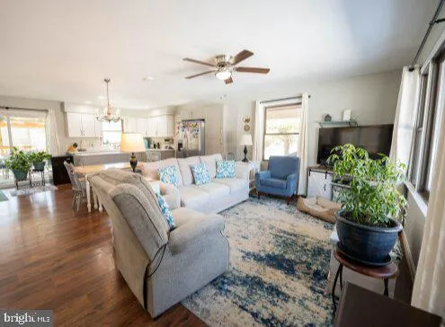 a living room with furniture potted plant and a window