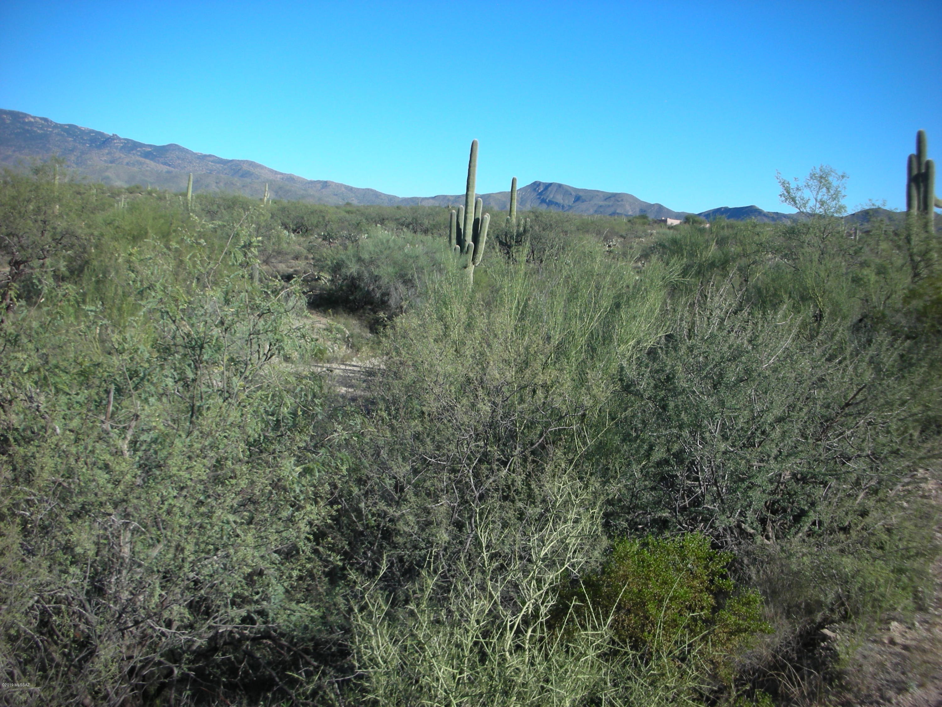 Tbd East Camino Dorotea Road Vail, AZ 85641 - Photo 23 of 24