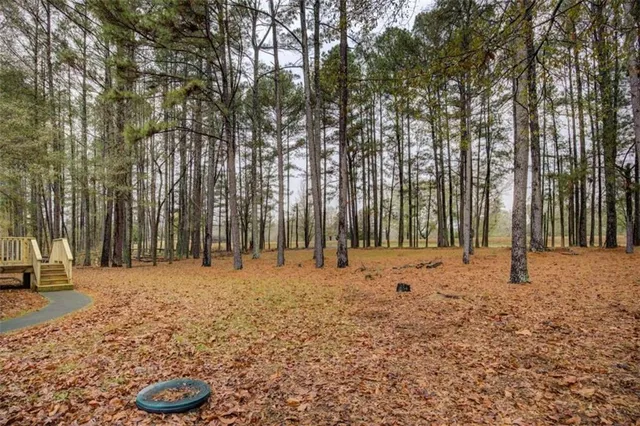 a row of trees with lots of trees