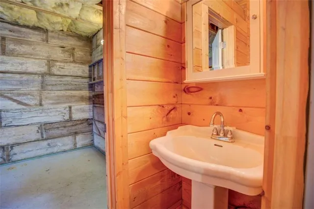 a bathroom with a sink and a shower